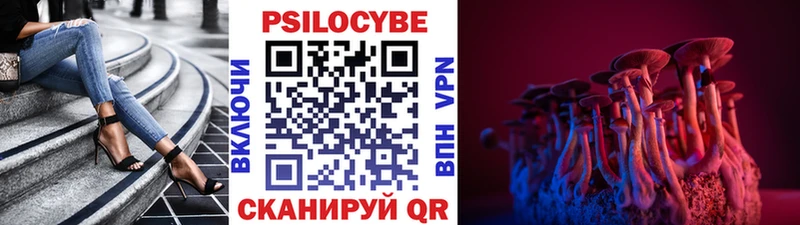 наркотики  Белебей  Галлюциногенные грибы Psilocybe 