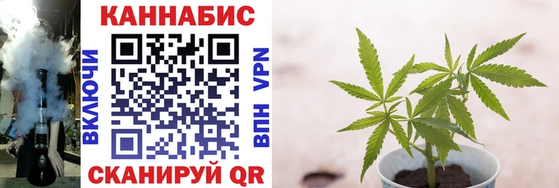 Канабис план  купить наркотик  Белебей 